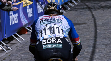 Remco Evenepoel, Fiandre 2026