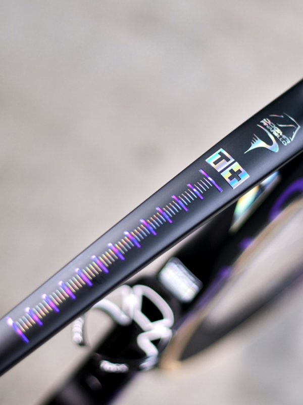 Pinarello, Tissot Dogma F Special Edition, Pinarello Q36.5 Pro Cycling Team