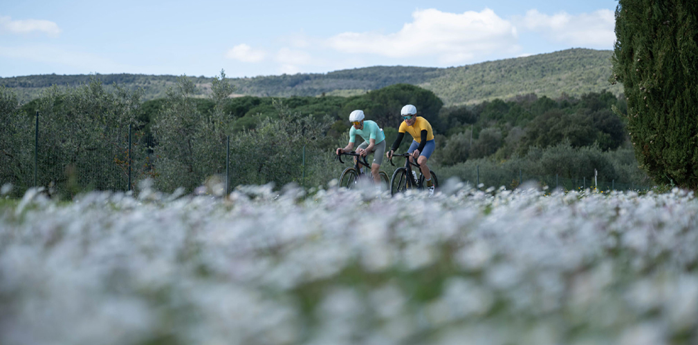 Bike Connection Agency