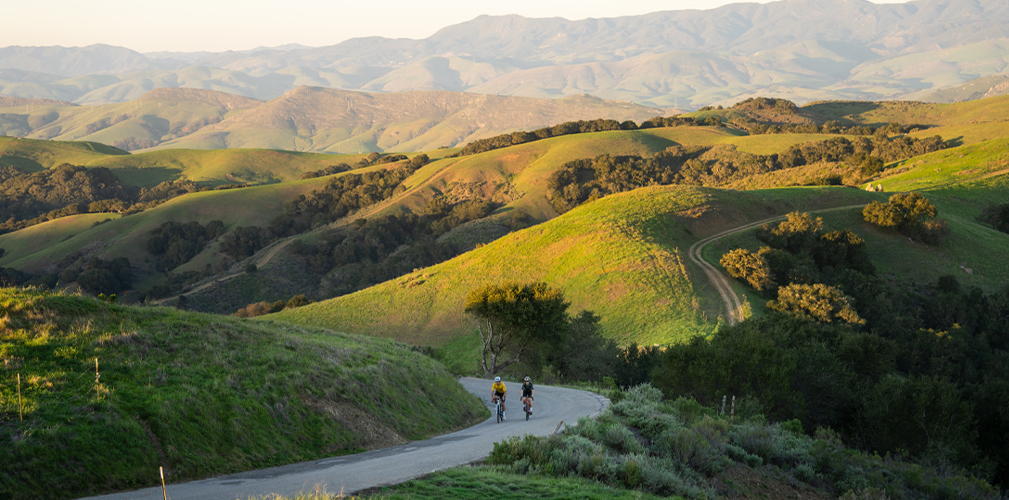 Hammerhead, Karoo Share