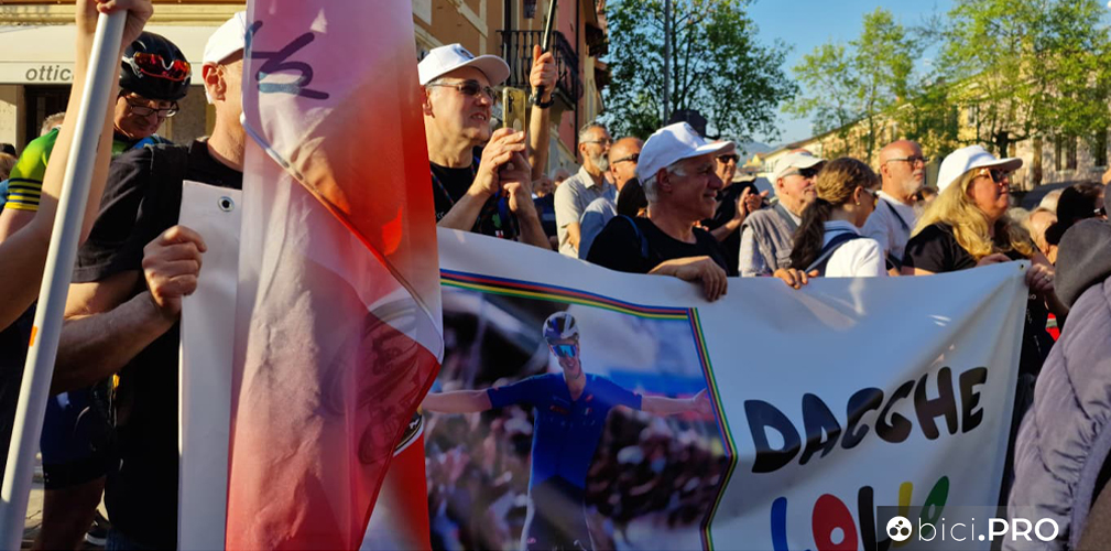 Lorenzo Mark Finn Official Fan Club