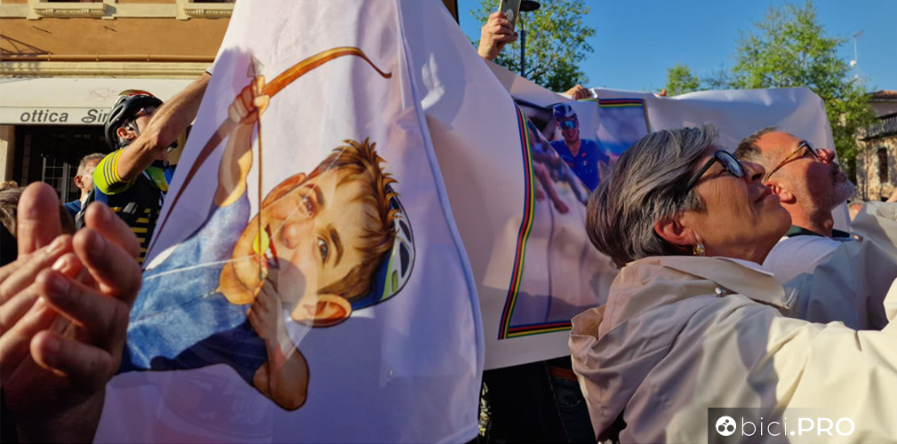 Lorenzo Mark Finn Official Fan Club