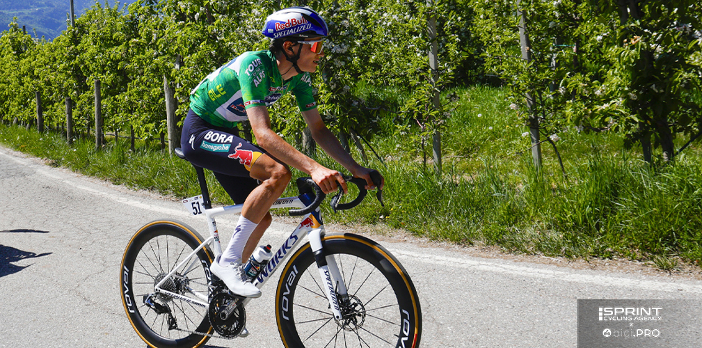 Tour of the Alps 2026, Giulio Pellizzari, Red Bull-BORA-hansgrohe
