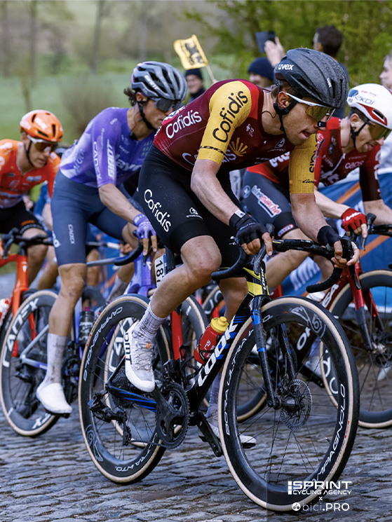 Edoardo Zamperini, Fiandre 2026