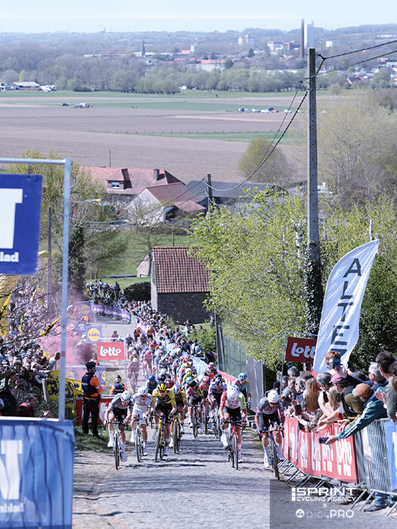 Clima già caldo nelle Fiandre. Impazza il "totonomi" e quello di Van Aert è in ascesa