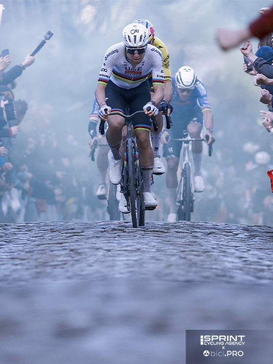 Pogacar, Fiandre 2026