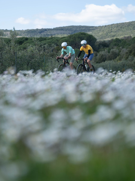 Bike Connection Agency