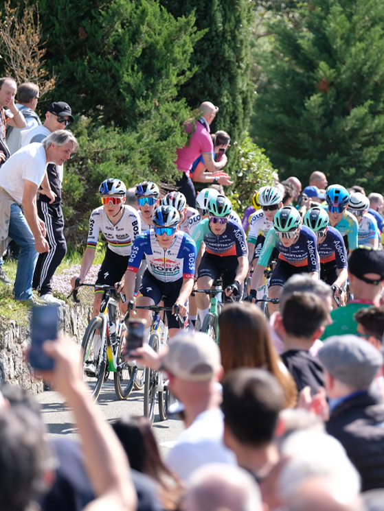 87° Giro del Belvedere, Lorenzo Finn, maglia iridata, Red Bull-BORA-hansgrohe
