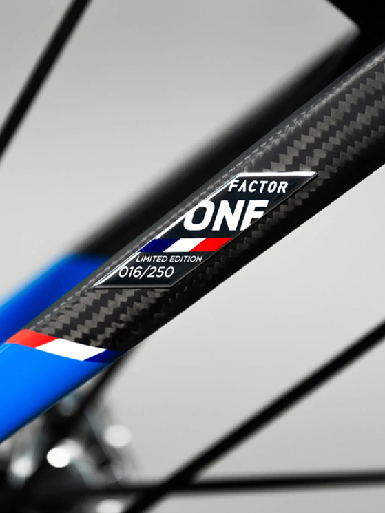 Bugatti Factor One, telaio, forcella, telaio numerato