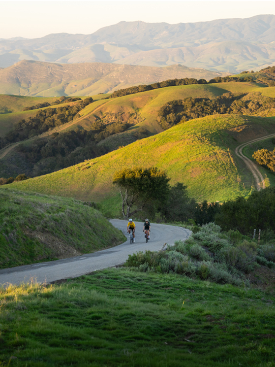 Hammerhead, Karoo Share