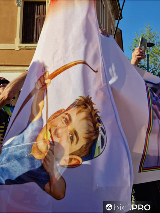 Lorenzo Mark Finn Official Fan Club