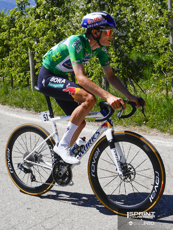 Tour of the Alps 2026, Giulio Pellizzari, Red Bull-BORA-hansgrohe