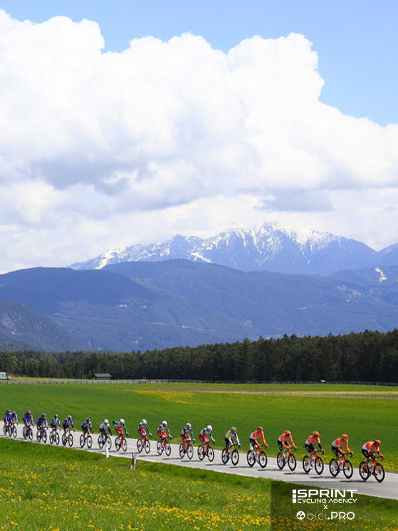 Tour of the Alps 2026, Ineos, gruppo
