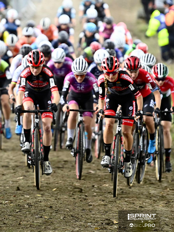 Il Koppenbergcross è una classica di apertura del calendario belga