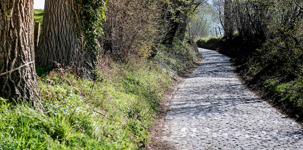 Come la schiena di un coccdrillo, così il Koppenberg in una giornata di sole (immagine Cycling in Flanders)