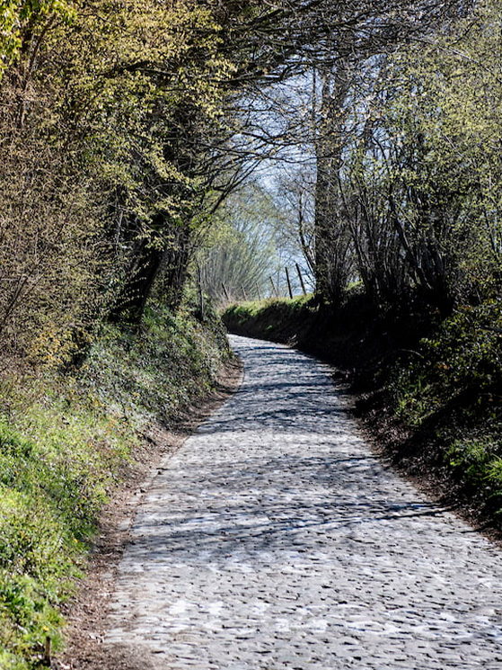 Come la schiena di un coccdrillo, così il Koppenberg in una giornata di sole (immagine Cycling in Flanders)