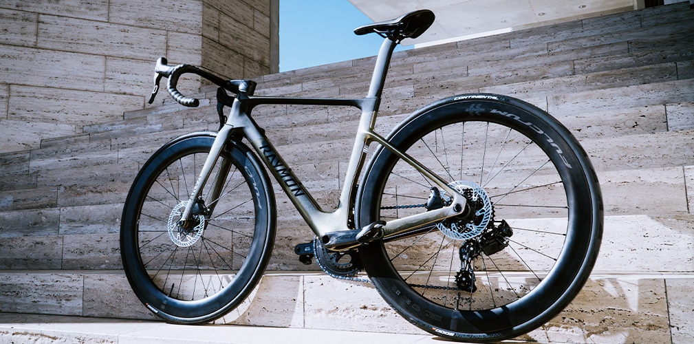 Raymon Arva Elite