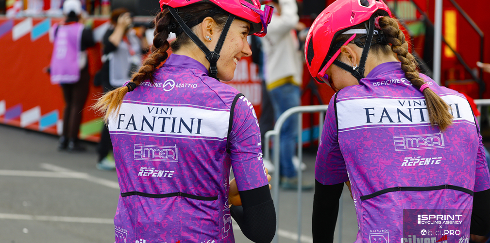 Vini Fantini-BePink