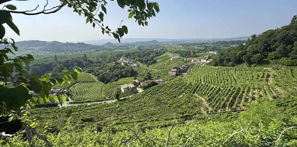 Prosecco Unbound, Colline del Prosecco (foto Facebook)