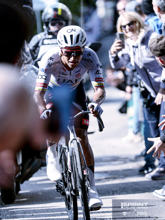 Narvaez (classe 1997) tra la folla dei muri fermani. Per l'ecuadoriano è la 17ª vittoria in carriera