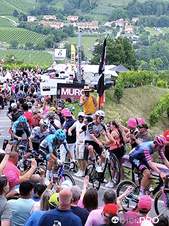 Muro Ca' del Poggio 2026