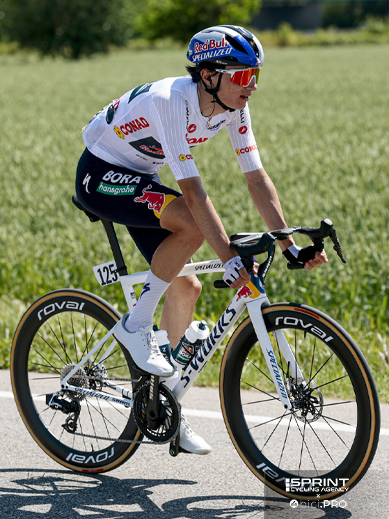 Giro d'Italia 2026, Giulio Pellizzari, Red Bull-BORA-hansgrohe