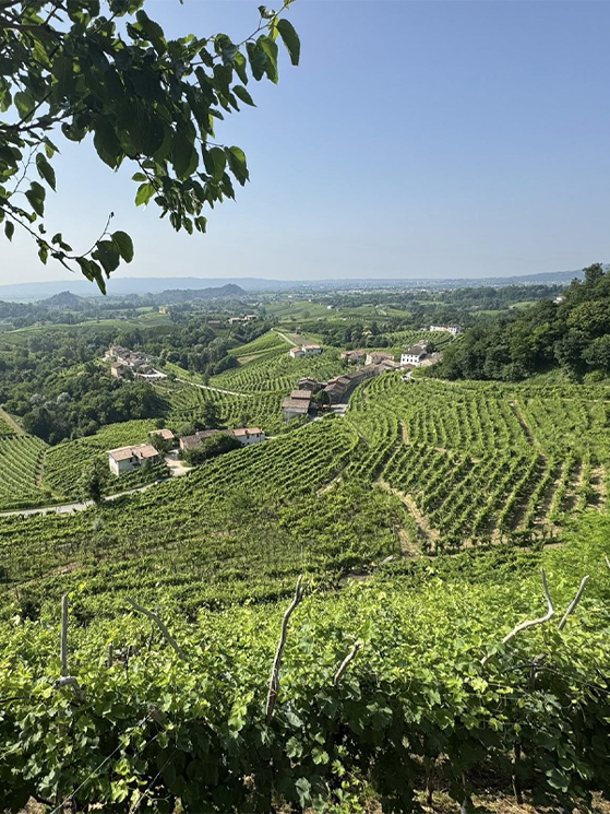 Prosecco Unbound, Colline del Prosecco (foto Facebook)
