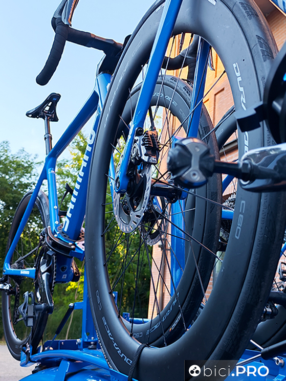 Da cambio ruote ad assistenza tecnica neutrale Shimano, l'evoluzione del servizio corse