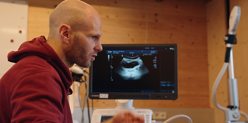 Athlete Performance Center Red Bull, Salisburgo, riabilitazione Maxim Van Gils (immagine Red Bull)