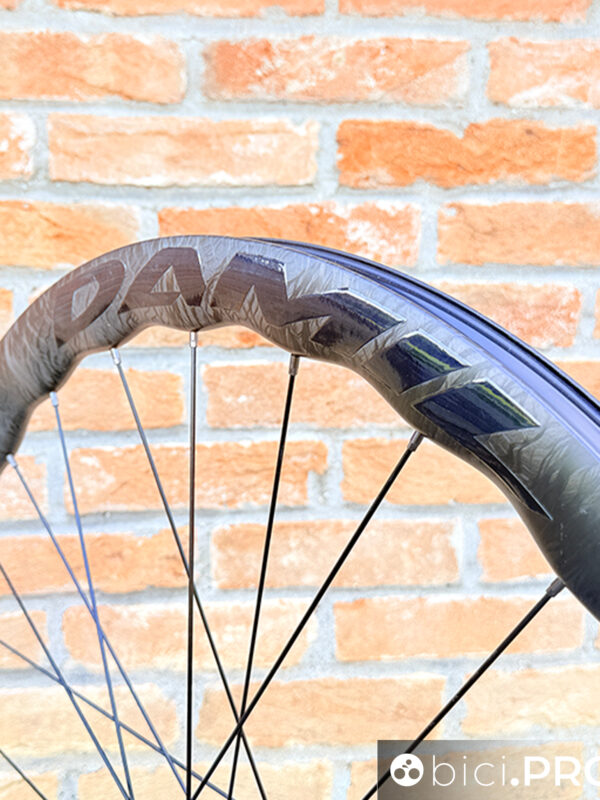 Damil Daisy Plus, la ruota gravel race bella e super generosa