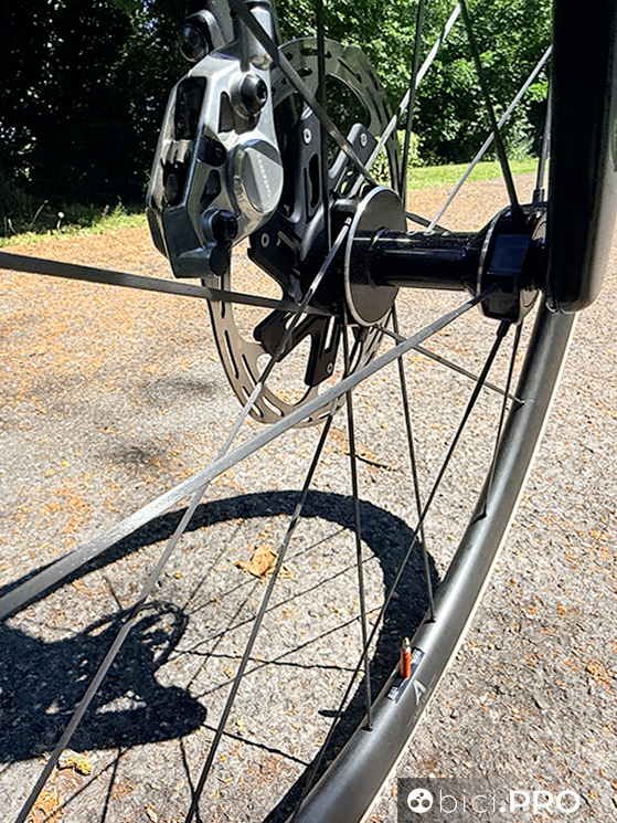 Le DT Swiss più leggere, ARC 38 CS (carbon spokes)