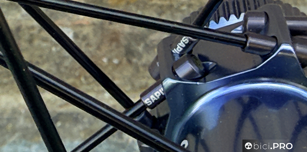 Damil Daisy Plus, la ruota gravel race bella e super generosa