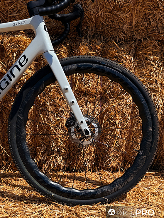 Damil Daisy Plus, gravel veloce (e non solo) il pane quotidiano. Il test