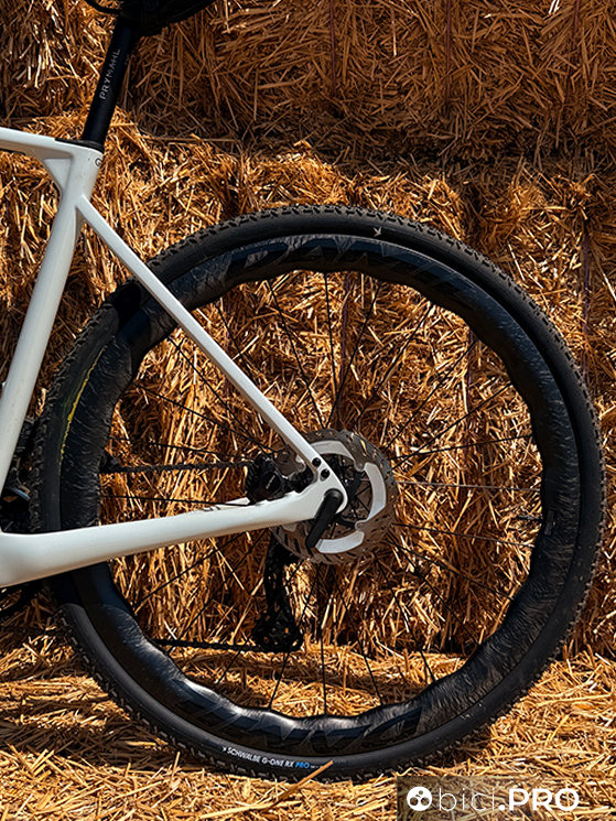 Damil Daisy Plus, gravel veloce (e non solo) il pane quotidiano. Il test