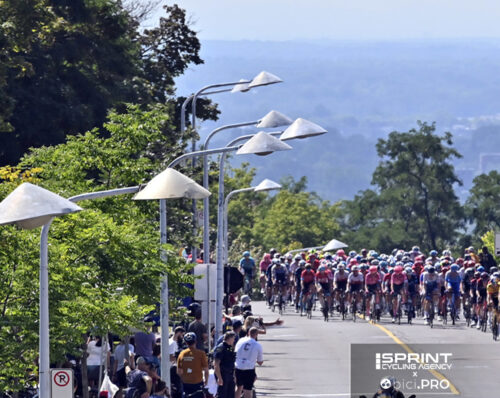 GP di Montreal sul percorso mondiale. Bagioli lo conosce bene…
