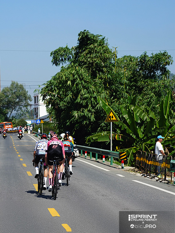 Tour of Guanxi: a destra c'è un incrocio, il volontario dà le spalle alla corsa e sorveglia le auto