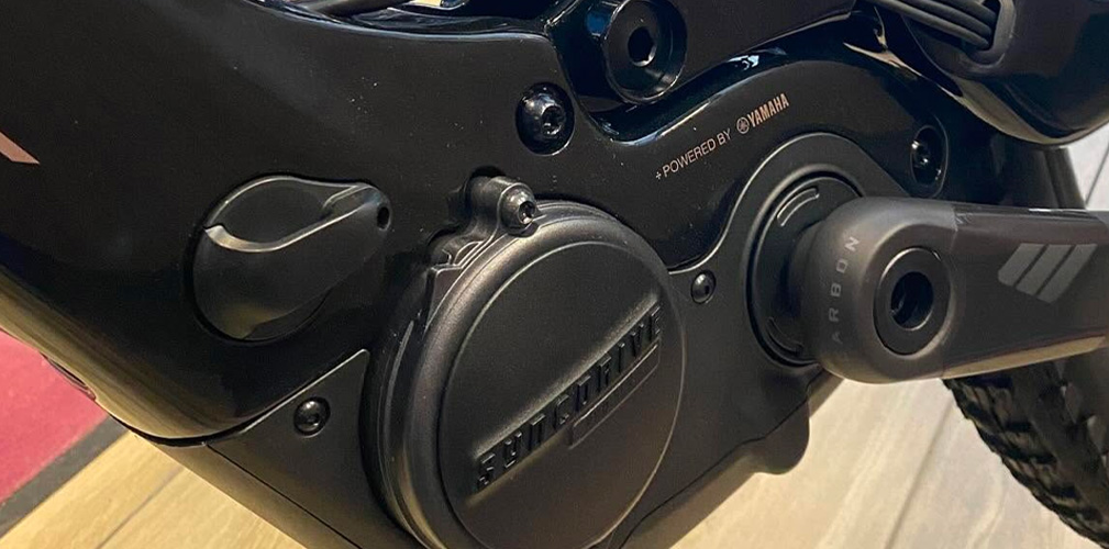 La bravura dell'officina siciliana sta nell'esperienza dei titolari nell'elettronica: le e-bike sono pane quotidiano