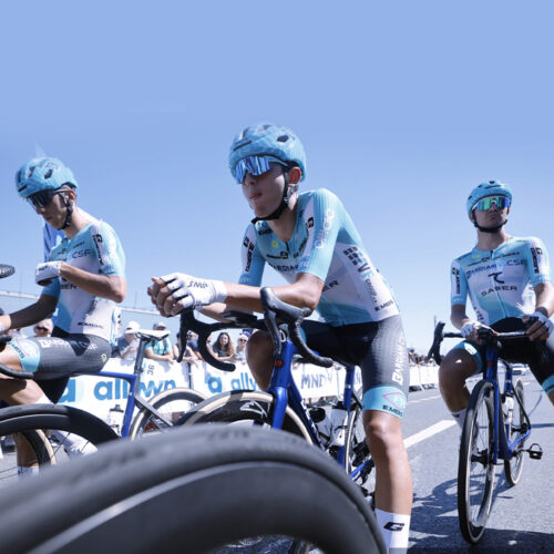 Bardiani, stagione 2026