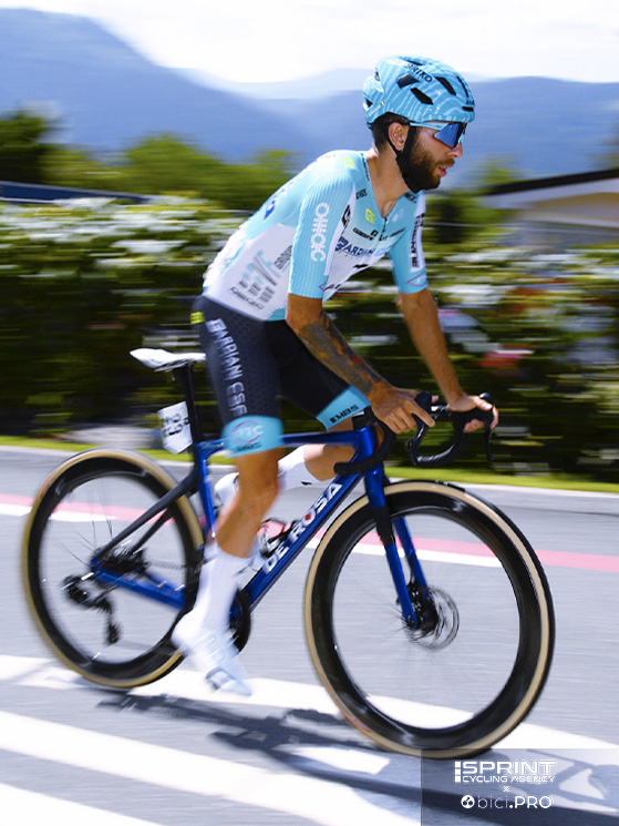 Bardiani, stagione 2026