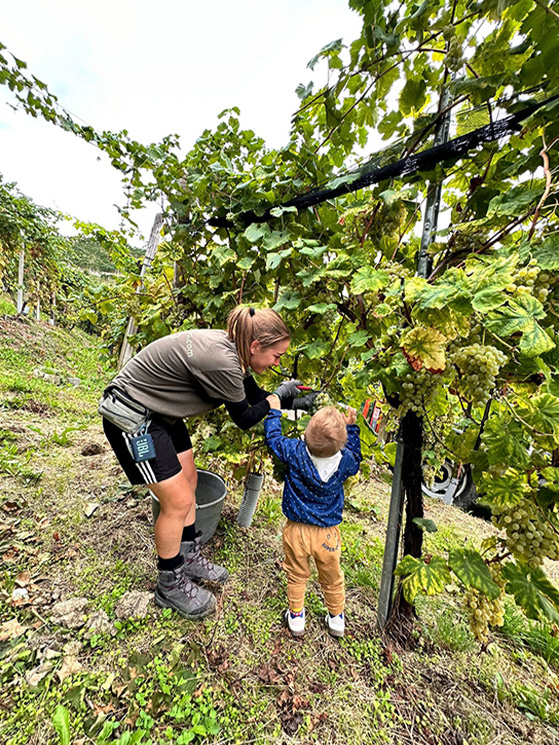Quando è a casa a Valdobbiadene, Chiara aiuta l'azienda agricola di famiglia: nel periodo della vendemmia, alterna bici e vigna