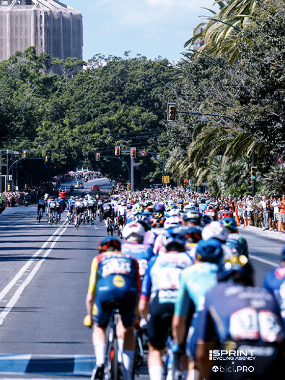 Vuelta, Estepona