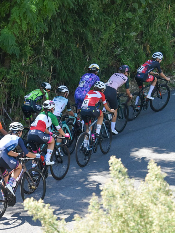 Trittico Rosa Alta Marca Trevigiana 2026