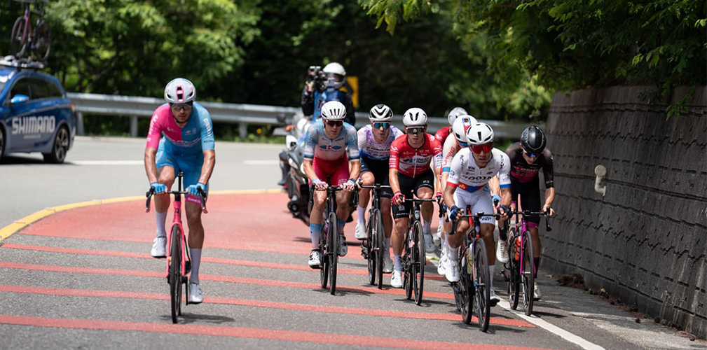 Lucca chiude 7 anni di carriera in vari team, con 4 vittorie all'attivo