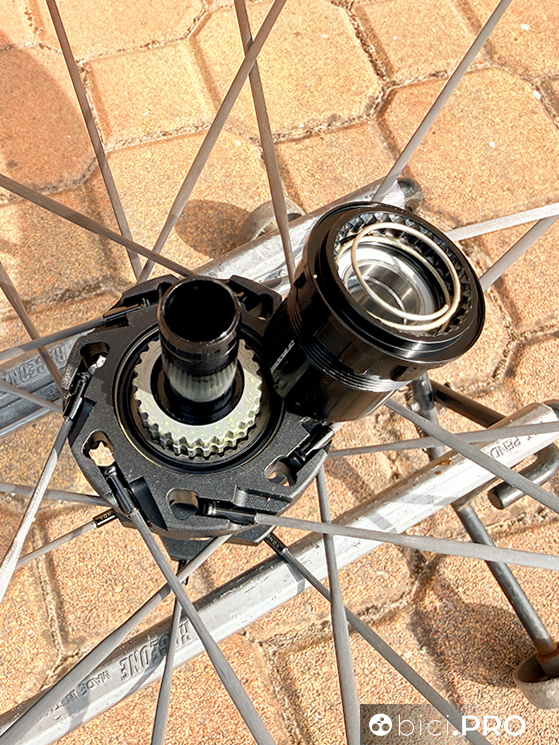 Ruote FFWD Raw Pace 48, il futuro delle ruote gravel passa da qui