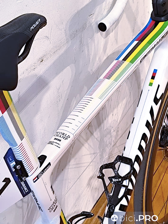 Demi Vollering, Europei Slovenia, Specialized
